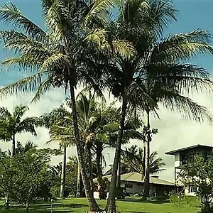 Island Goode's - Luxury Adult Only Near Hilo Guest house